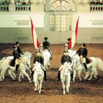 Spaanse Rijschool
